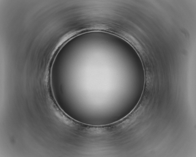 X0000113021044200908271429