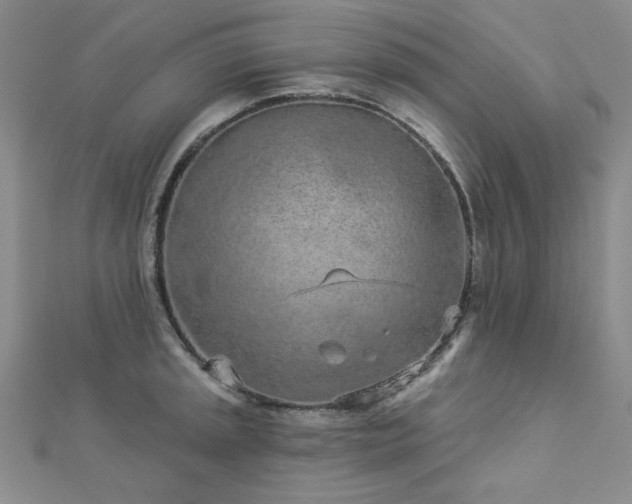 X0000113021045200908271429