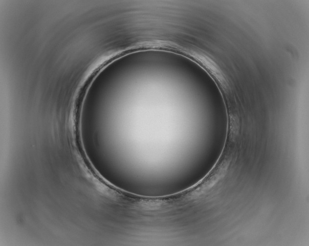 X0000113021046200908271429