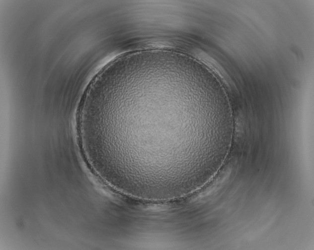 X0000113021047200908271429