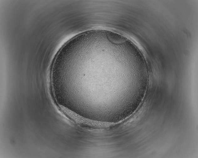 X0000113021048200908271429