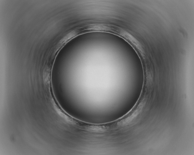 X0000113021049200908271429