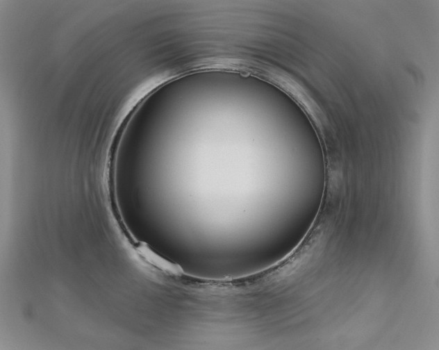 X0000113021050200908271429