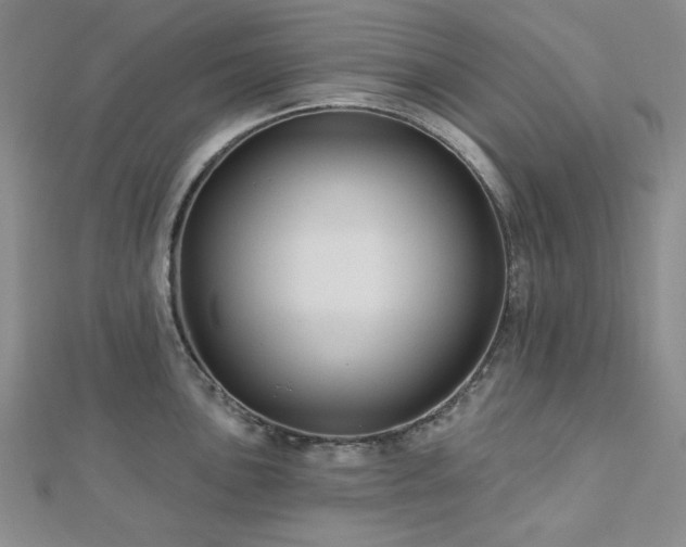 X0000113021051200908271429