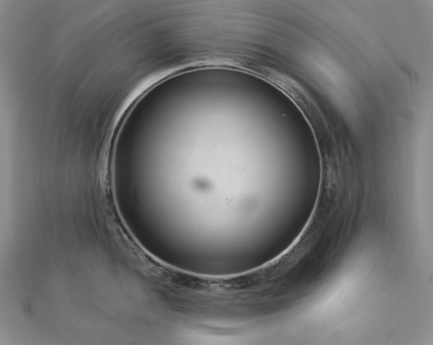 X0000113021052200908271429
