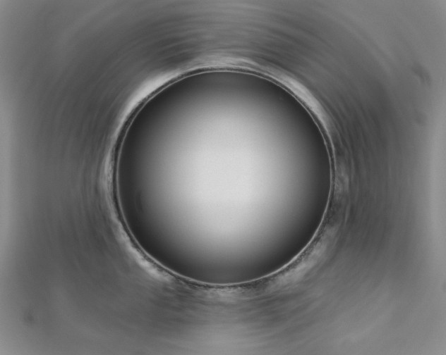 X0000113021053200908271429