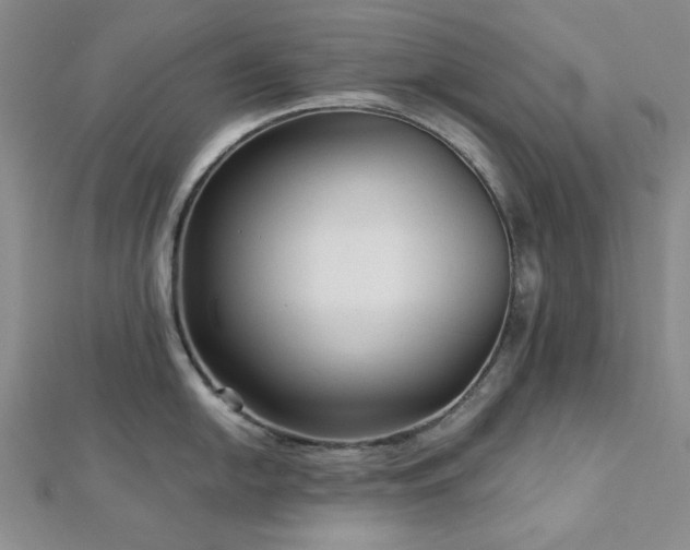 X0000113021054200908271429