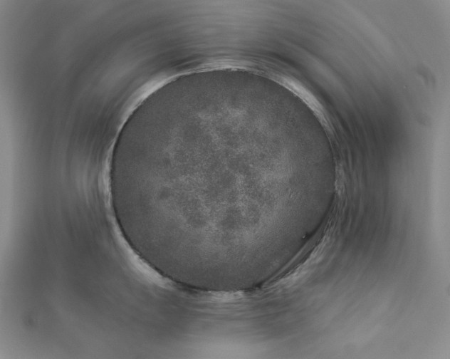 X0000113021055200908271429