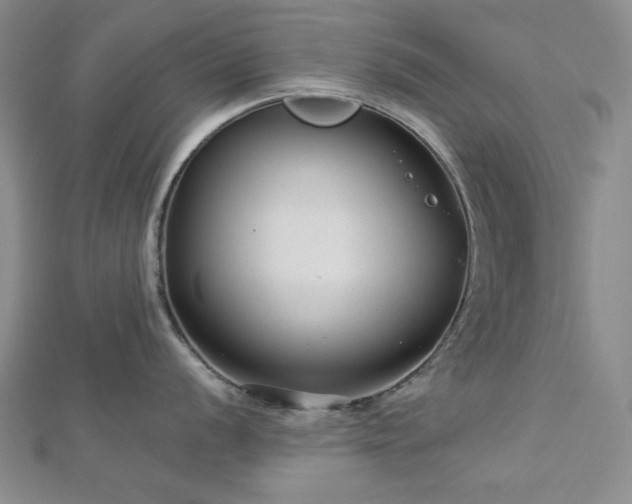 X0000113021056200908271429