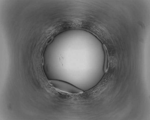 X0000113021057200908271429