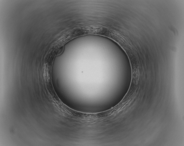 X0000113021058200908271429