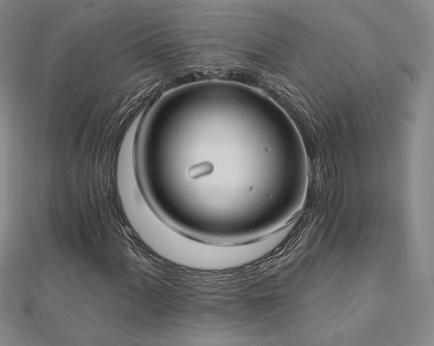 X0000113021060200908271429