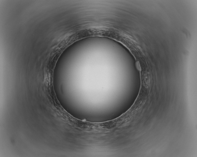 X0000113021061200908271429