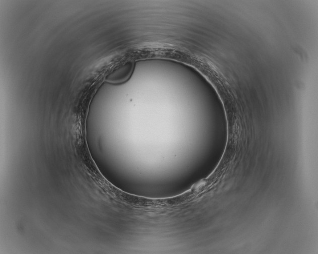 X0000113021062200908271429