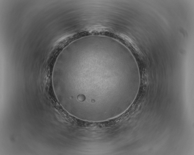 X0000113021063200908271429