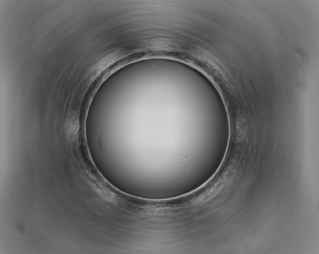 X0000113021065200908271429