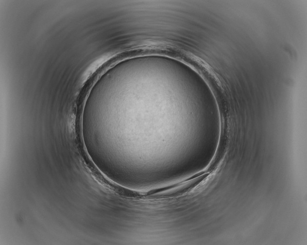 X0000113021066200908271429