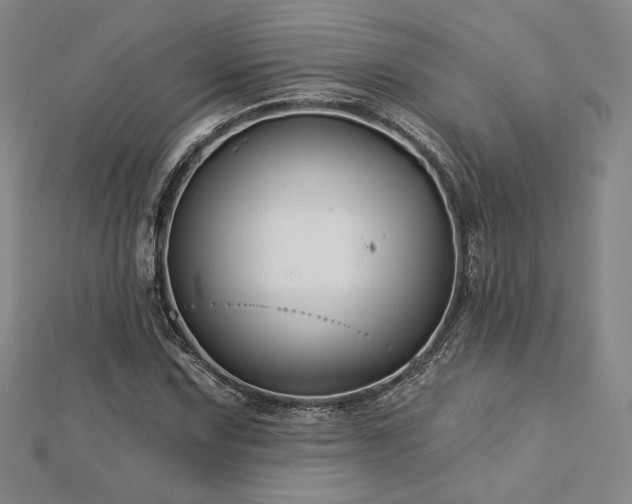X0000113021067200908271429