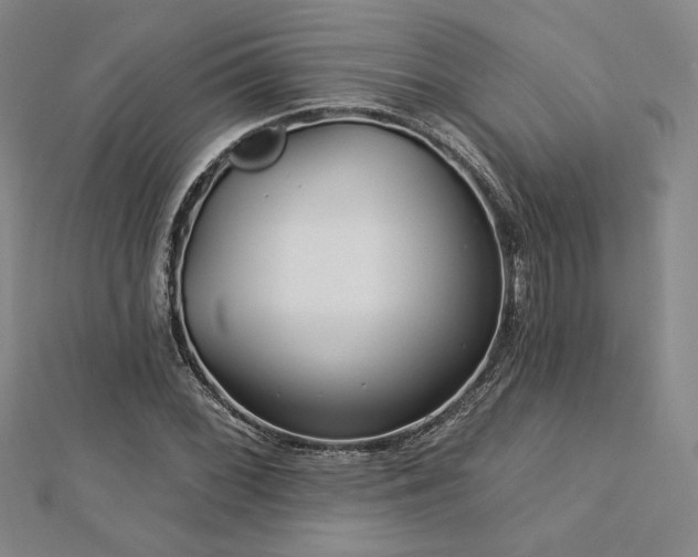 X0000113021068200908271429