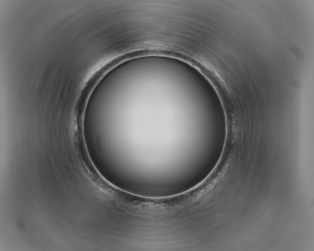 X0000113021070200908271428