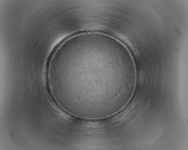 X0000113021071200908271428