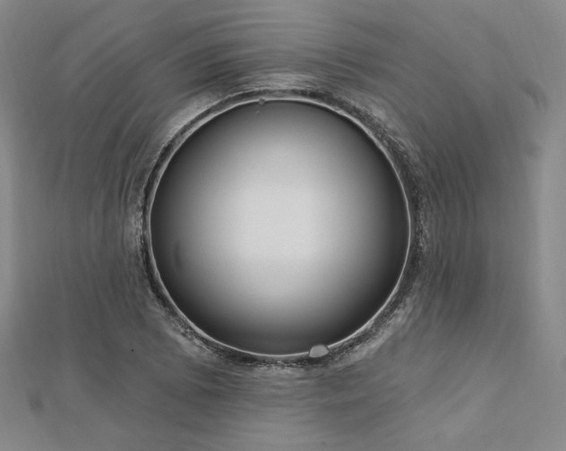 X0000113021073200908271428