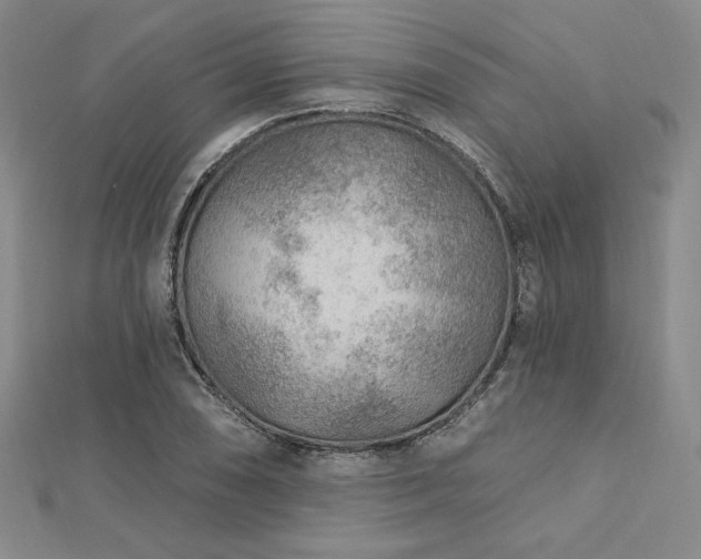 X0000113021074200908271428