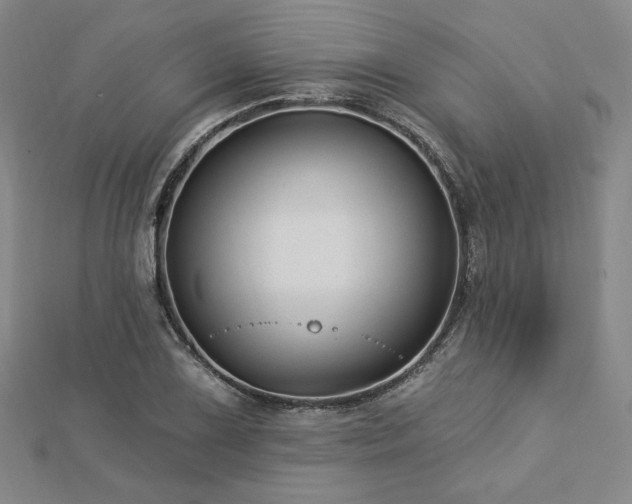X0000113021075200908271428