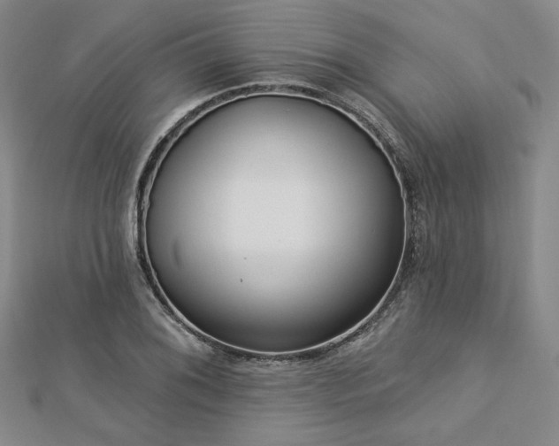 X0000113021076200908271428