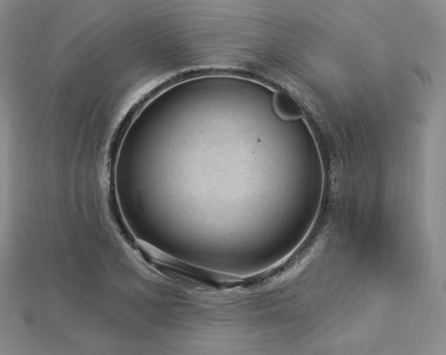 X0000113021077200908271428