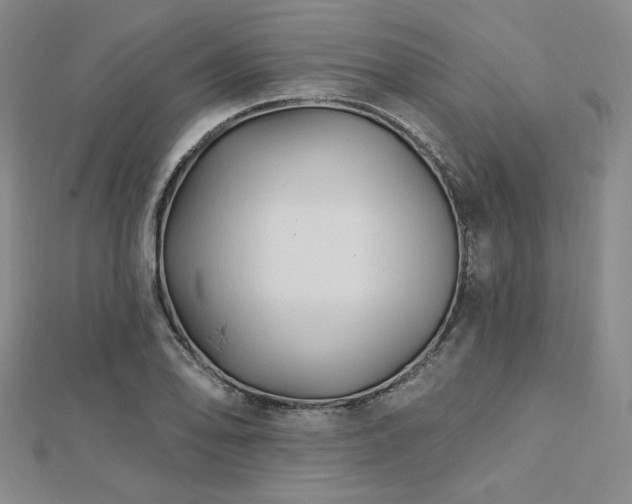 X0000113021078200908271428