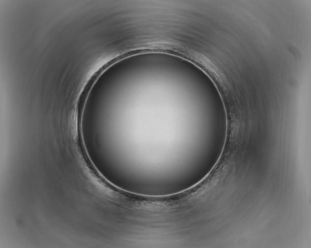 X0000113021079200908271428