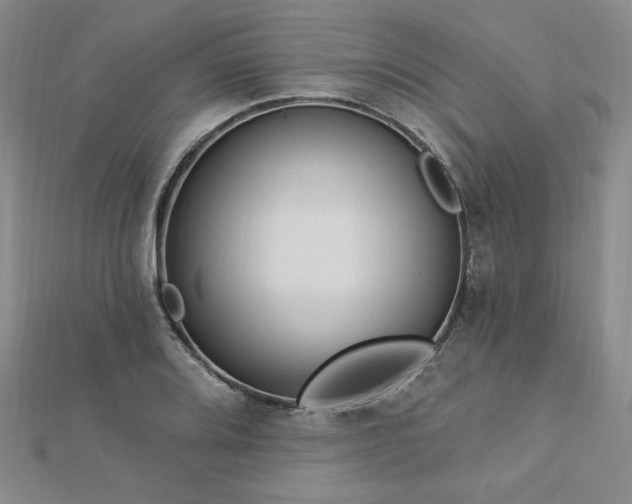X0000113021080200908271428
