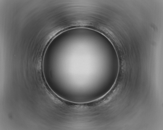X0000113021081200908271428