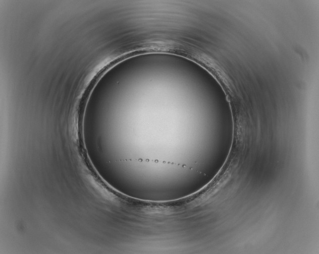X0000113021083200908271428