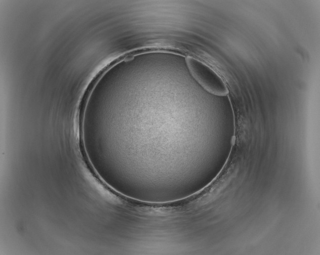 X0000113021084200908271428