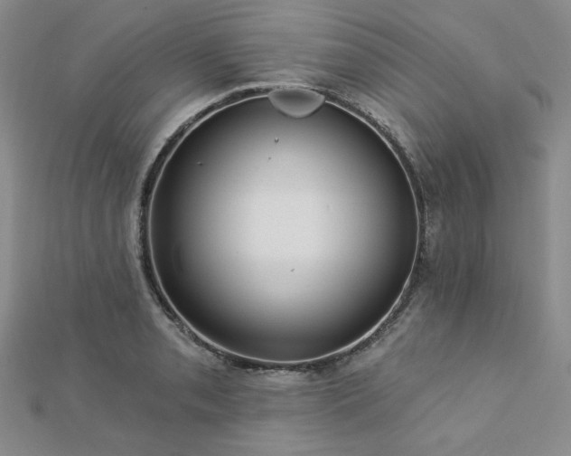 X0000113021085200908271428