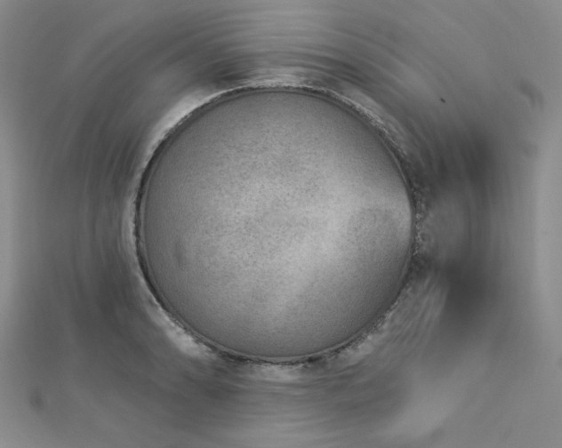 X0000113021086200908271428