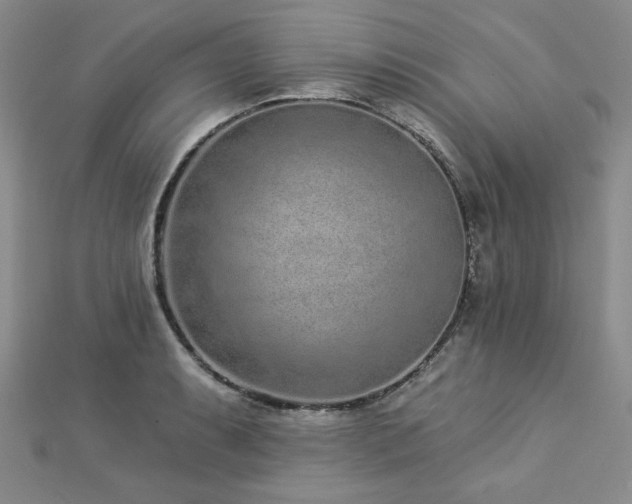 X0000113021087200908271428