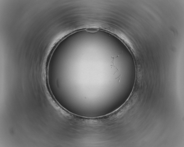 X0000113021088200908271428