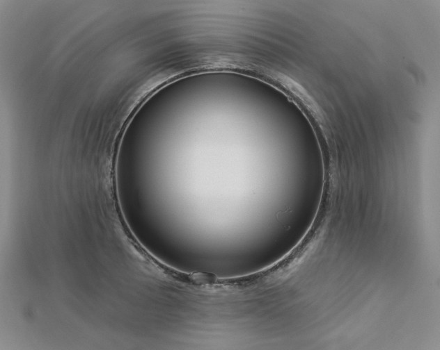 X0000113021089200908271428