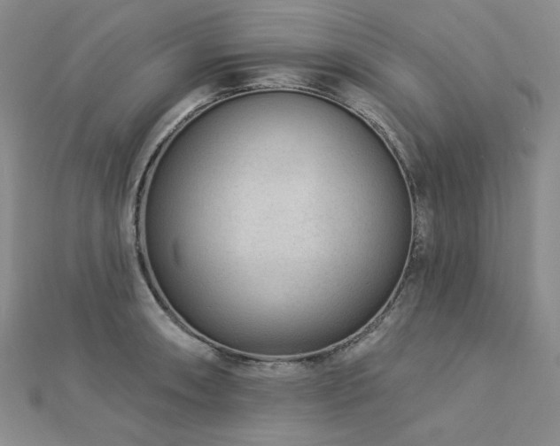 X0000113021090200908271428