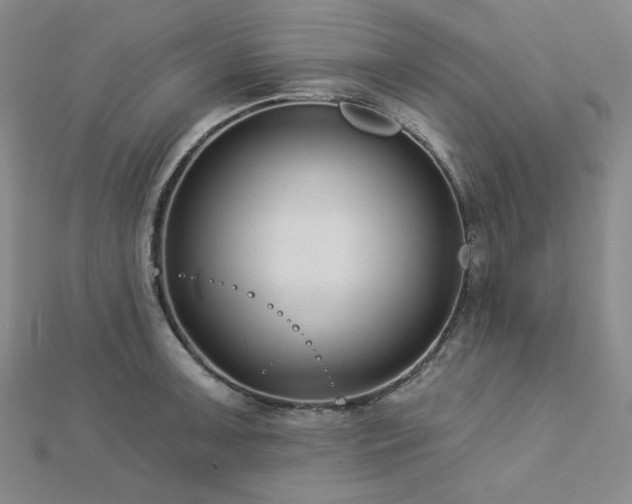 X0000113021091200908271428