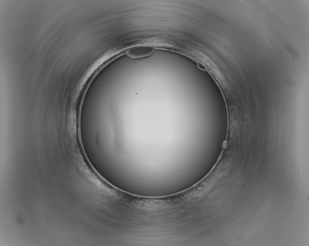 X0000113021092200908271428