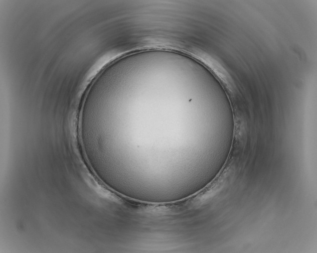 X0000113021094200908271428