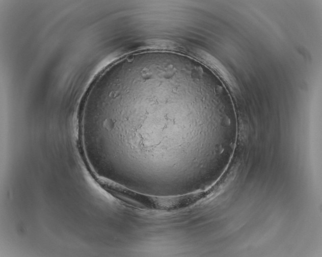 X0000113021095200908271428