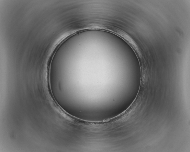 X0000113021096200908271428