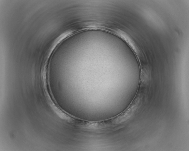X0000113021098200908271428