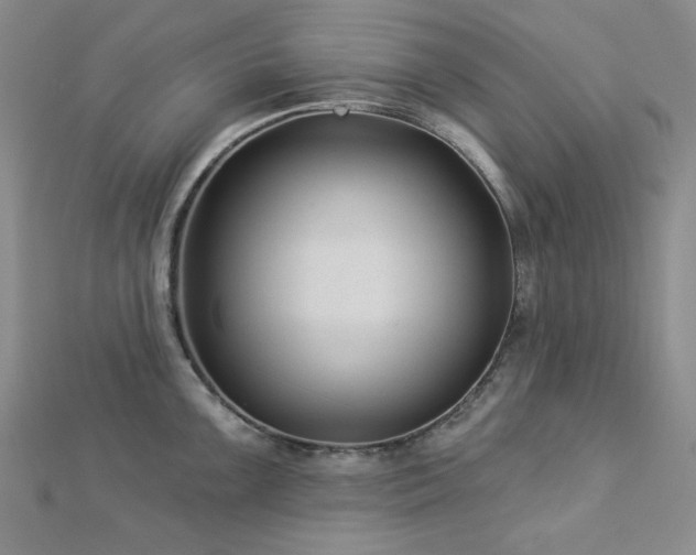 X0000113021099200908271428