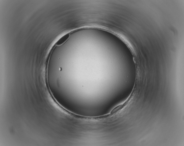 X0000113021100200908271428